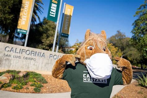 The Psychology of Mascots: Why Cal Poly SLO's Mascot Resonates with Students